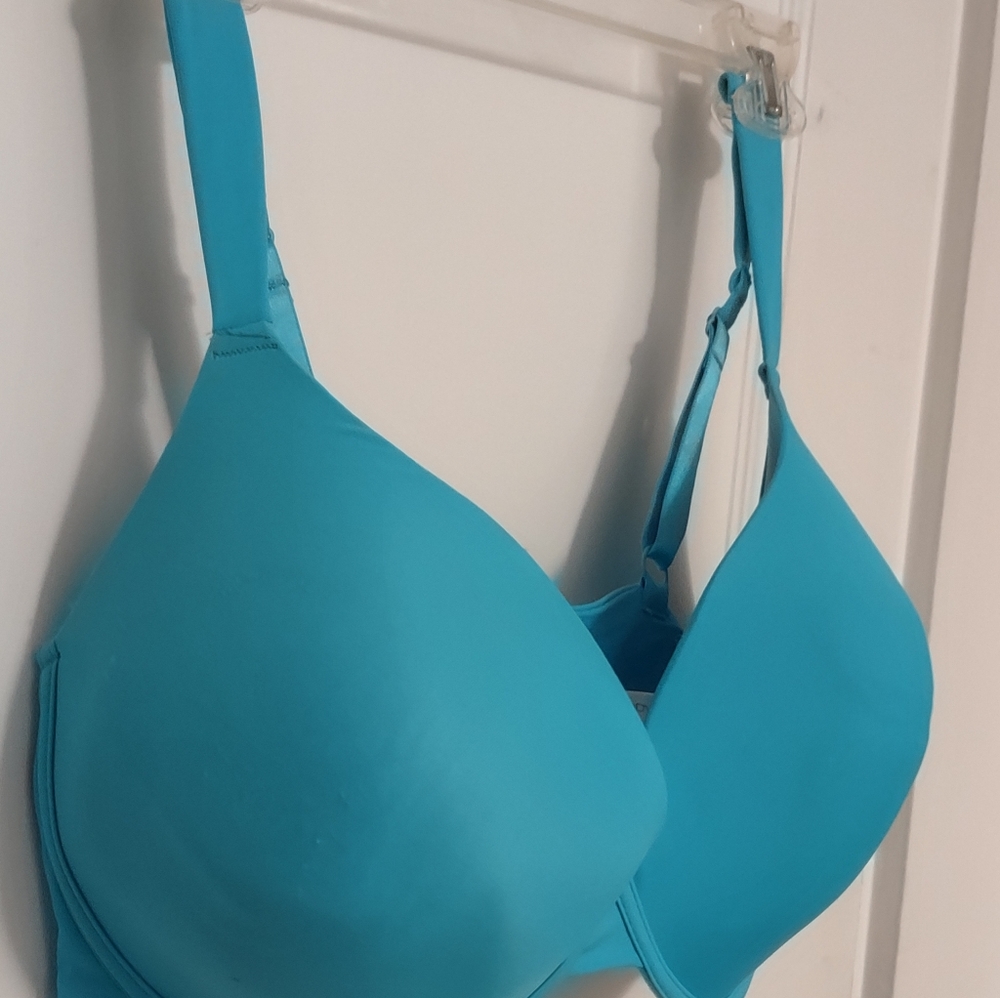 Turquoise Blue Plunging Bra NWT